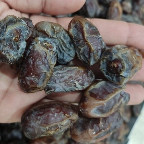 خرما کبکاب مشکی جنوب کشور با کیفیت پایدار و مطلوب